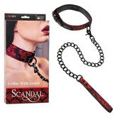 COLLAR WITH LEASH